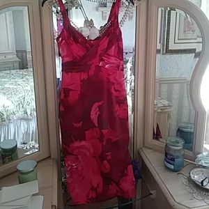 Beautiful dress, fitted & to the knee